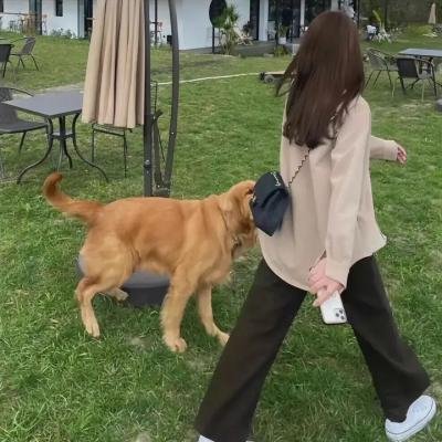 黑色的新娘